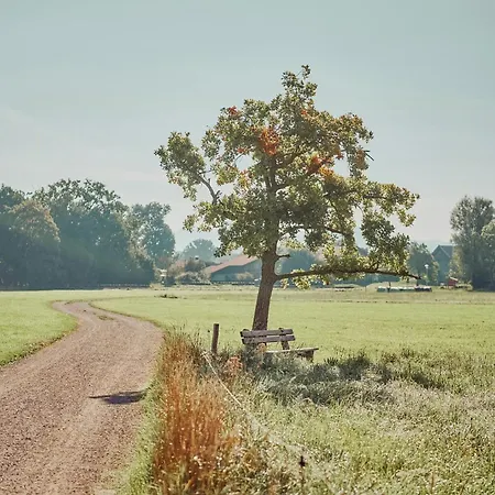 Living Among Orchards By Chiemsee Übersee