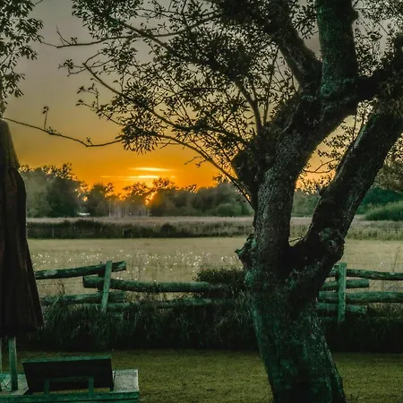Living Among Orchards By Chiemsee * Übersee